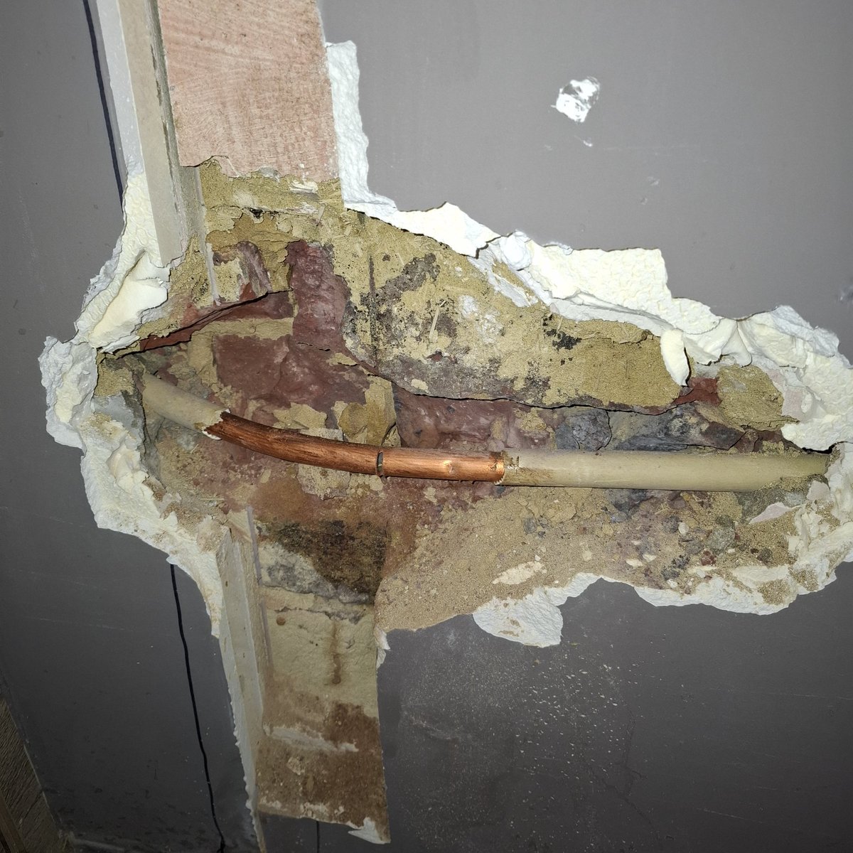 Hoe gaat jullie voormiddag?