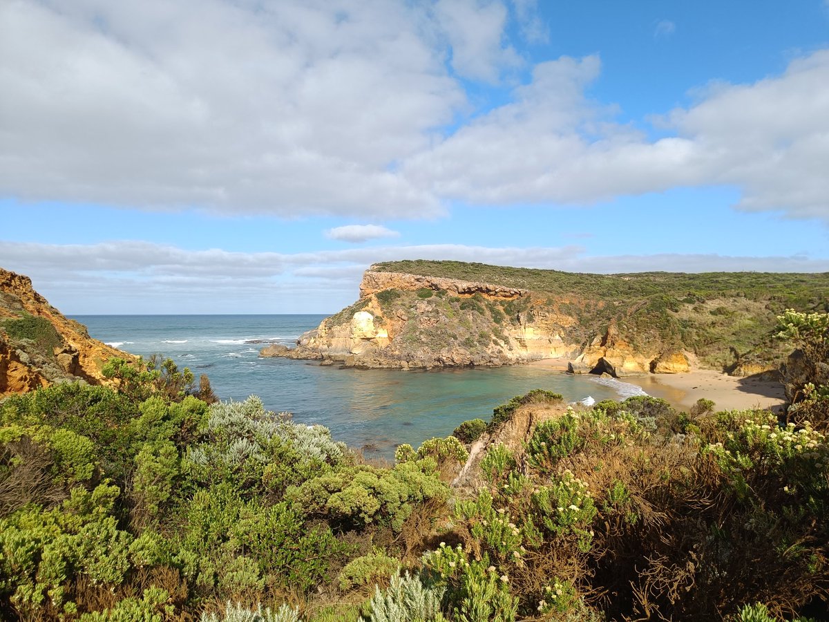 Doot 🪲🪷 Wishlist Milki Delivery 🐮🚲 tweet media