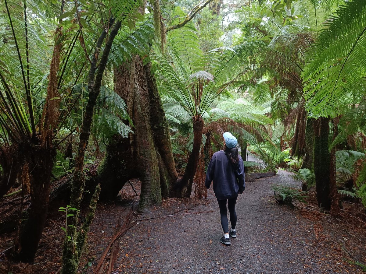 Doot 🪲🪷 Wishlist Milki Delivery 🐮🚲 tweet media