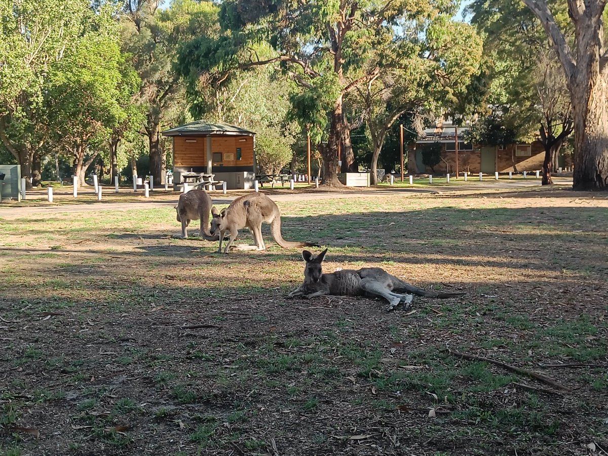 Doot 🪲🪷 Wishlist Milki Delivery 🐮🚲 tweet media