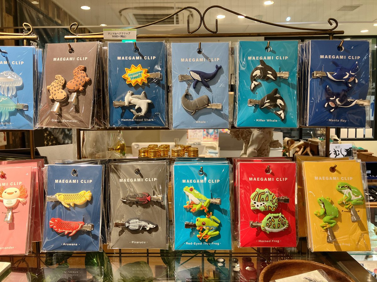 THE STUDY ROOM エキュート上野店 tweet media