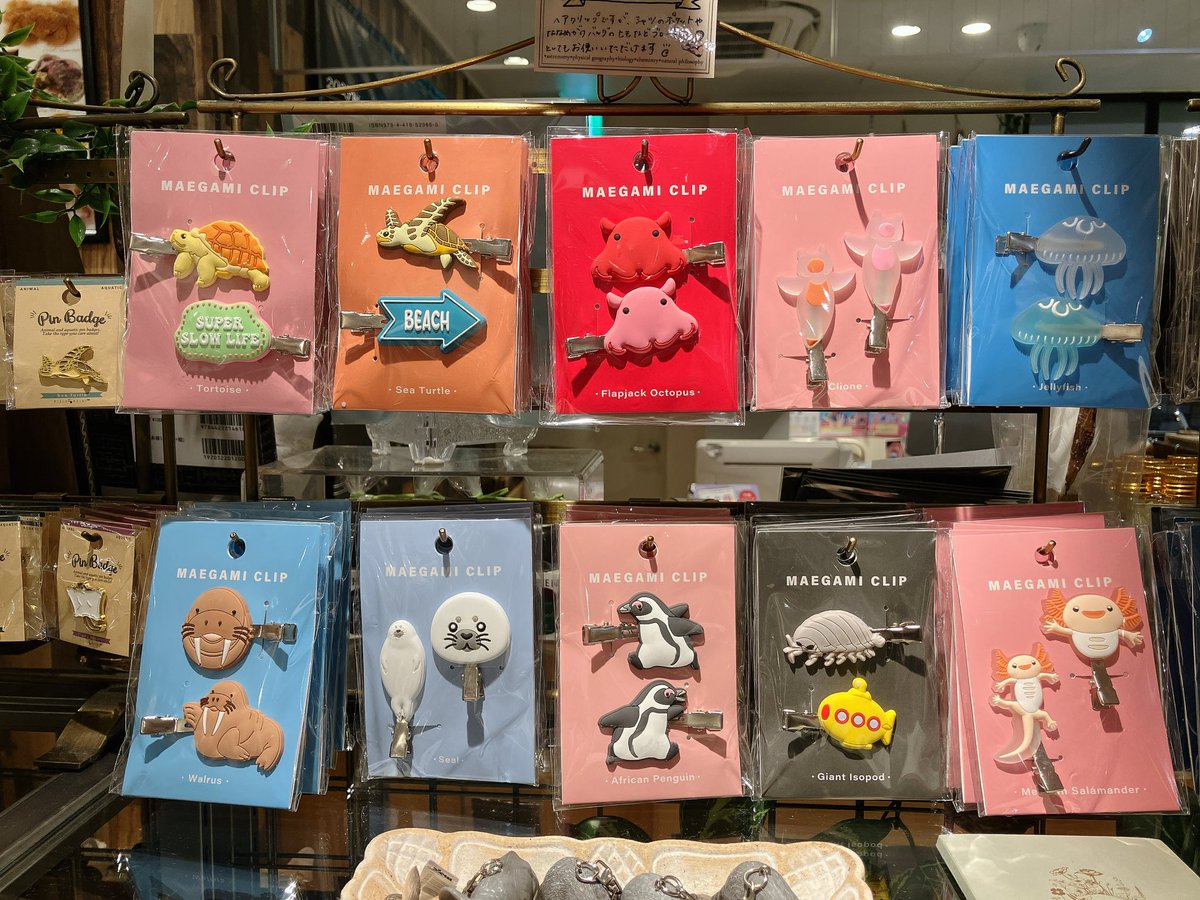 THE STUDY ROOM エキュート上野店 tweet media