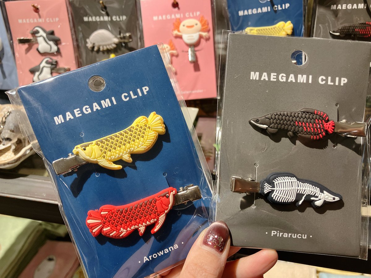 THE STUDY ROOM エキュート上野店 tweet media