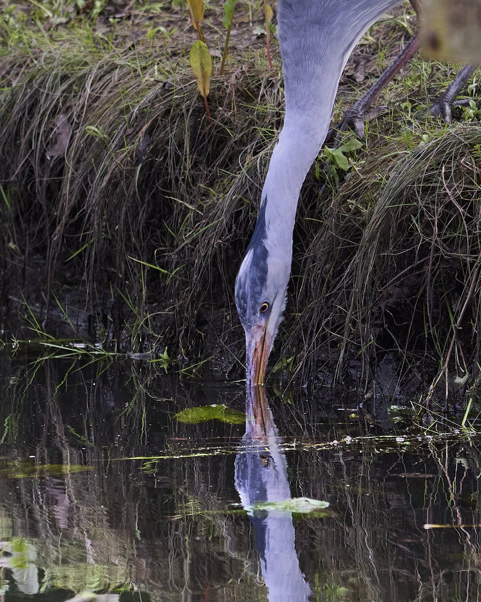 paul hayes tweet media