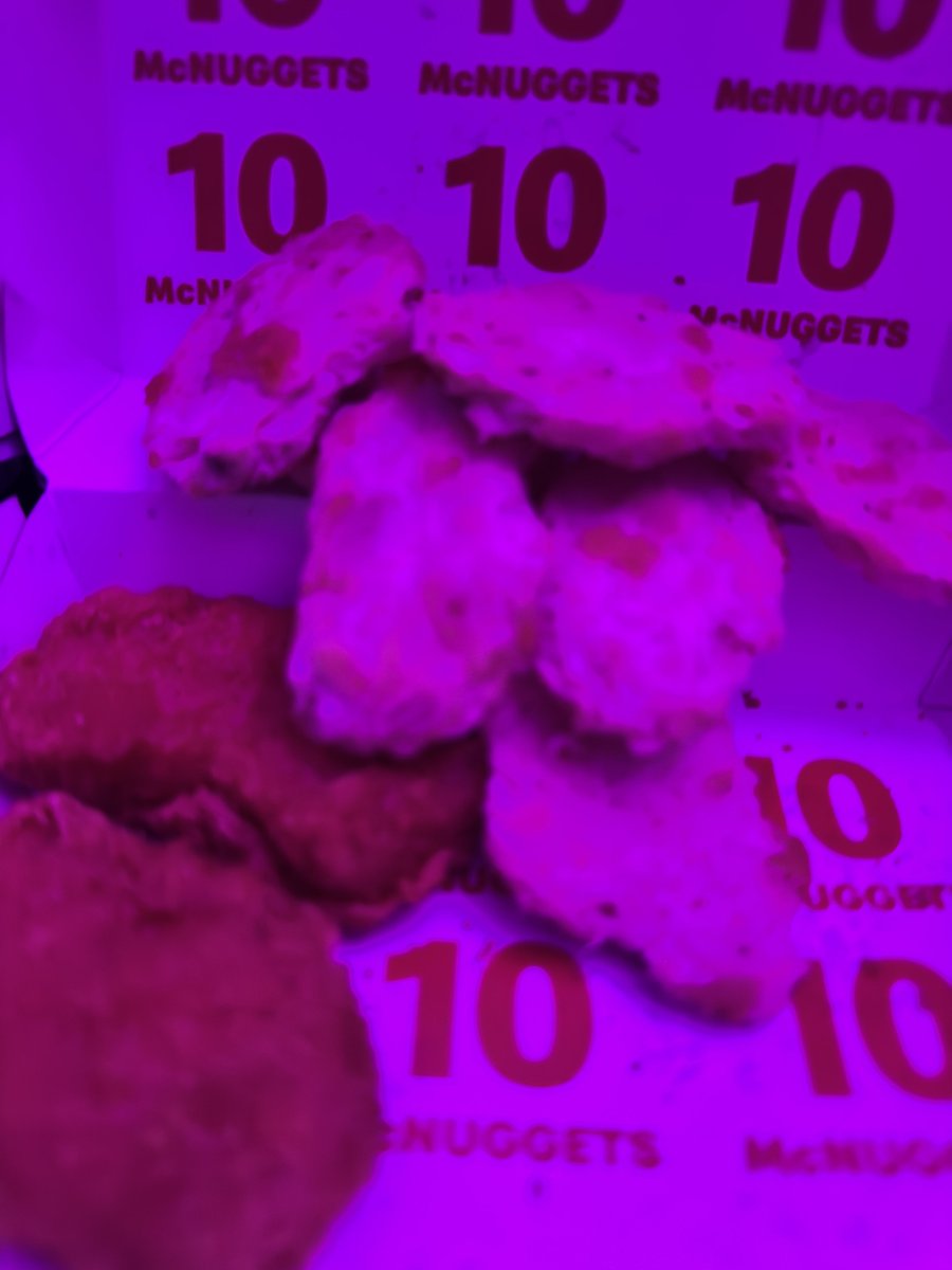 Bee 🐝 🇩🇴 tweet media