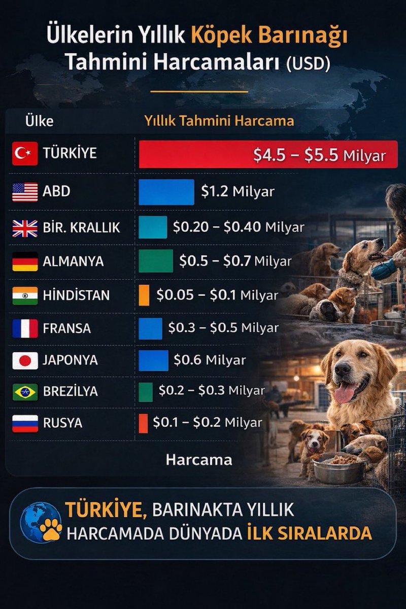 Prof Dr. Nebahat BULUT tweet media