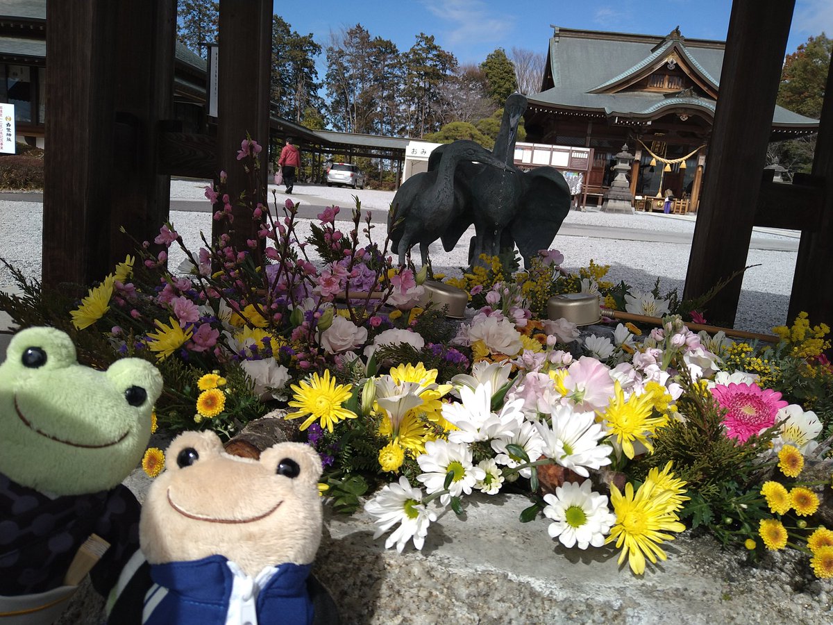 tossey7's tweet photo. 栃木県 上三川町の白鷺神社に行ってきました
超どでかい 平和の剣が祀られていて、なでなですると、悪運や厄災をブッちぎってくれるそうです
水に浮かべる、水みくじ　なんてのもありました
#かえるのピクルス #ぬい撮り #御朱印 https://t.co/4J3RyDVcg9