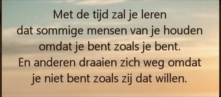 Roel Pot tweet media