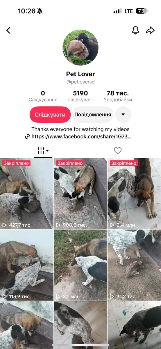 marynasheilia tweet media