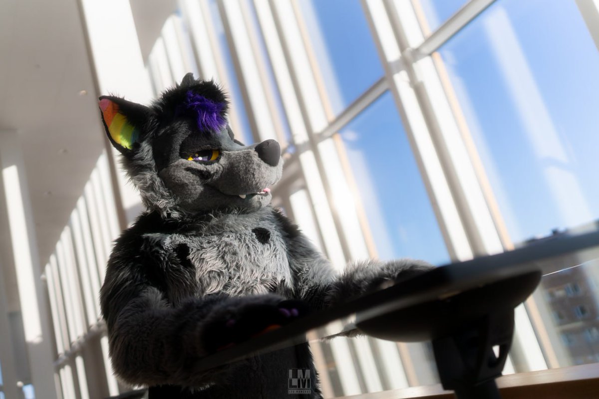 arrowthehunter's tweet photo. Photos from the photoshoot me and my love bun had at #NFC2026 
(There are lots more ^w^) 

Speciaal Thx to Leo manchas for making these 

🪡: woofworksfursuits.
📸:Leo manchas. https://t.co/itZeUSE49A
