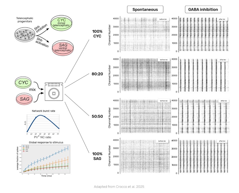 3Brain AG tweet media