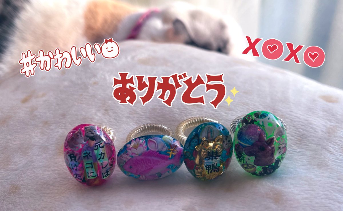 uotomo's tweet photo. @psychonomachiko ヒューマンスタッフさま👥
はりがとうございます🦔🪡✨

とてもブリリアントなリングで
げげ総監督も大満足デ酢🐈💨

水中花組🪷(勝手ネーミング)は
トゥルンとしとるので
アクティブなる時も💃帯同しやすく
大変良きで御座居升💍✨

わーーーい🙌 https://t.co/H0TQs84fNh