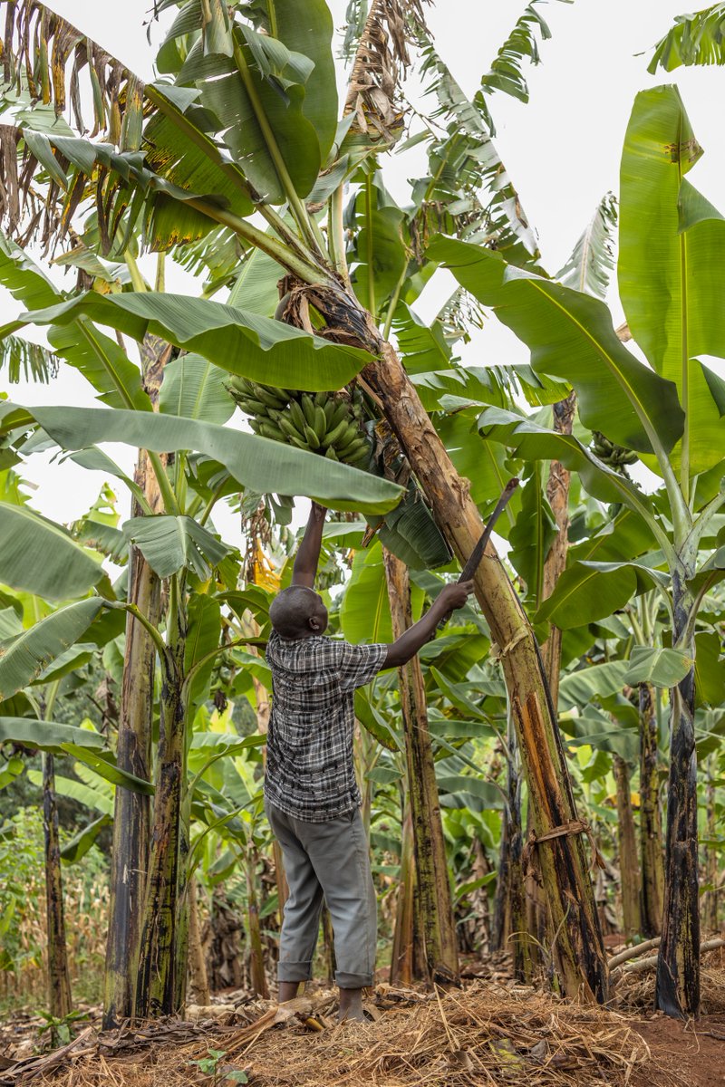 SOS Children's Villages Uganda tweet media