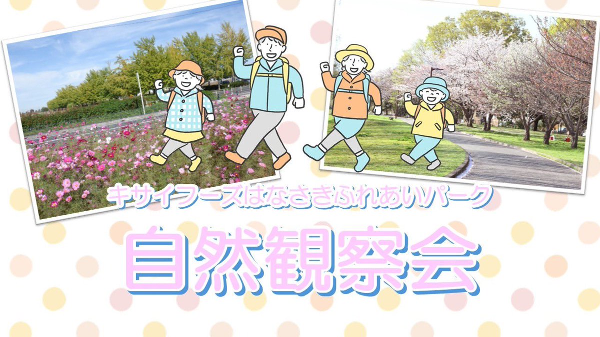 キサイフーズはなさきふれあいパーク(加須はなさき公園)【公式】 tweet media