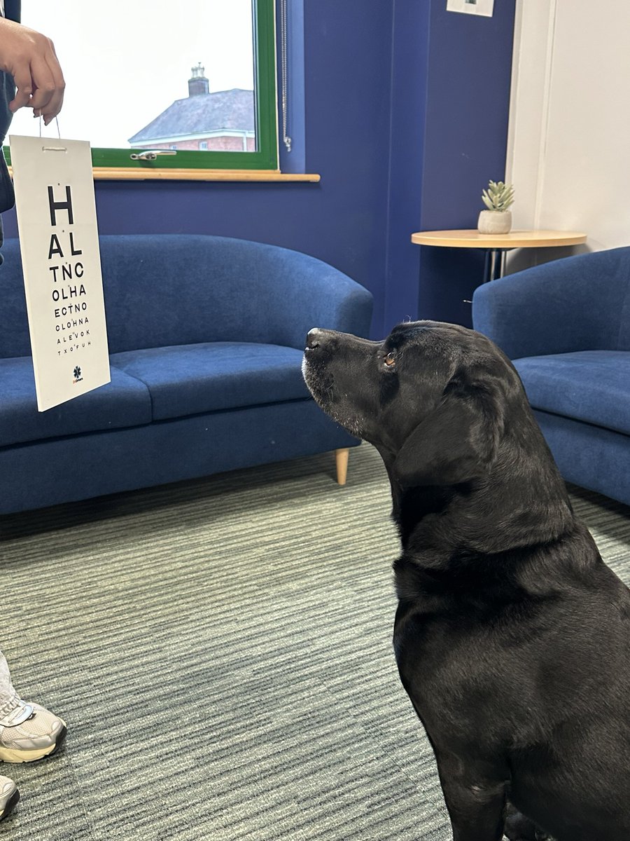 D4Drivers- UK's Largest Driver Medicals Provider tweet media