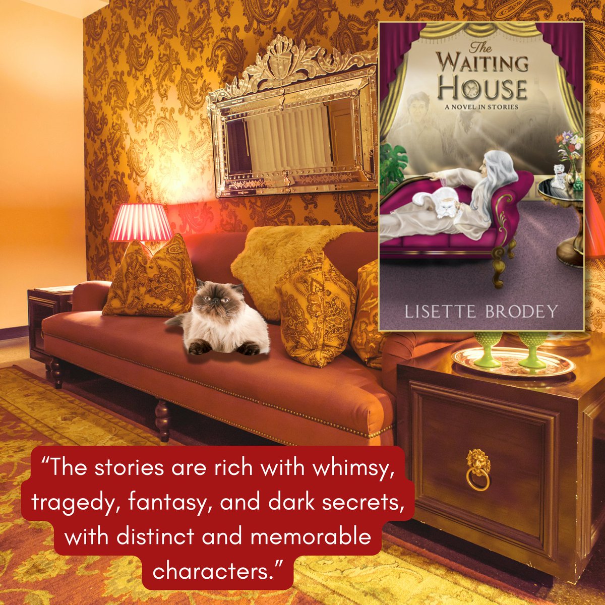 Lisette Brodey tweet media