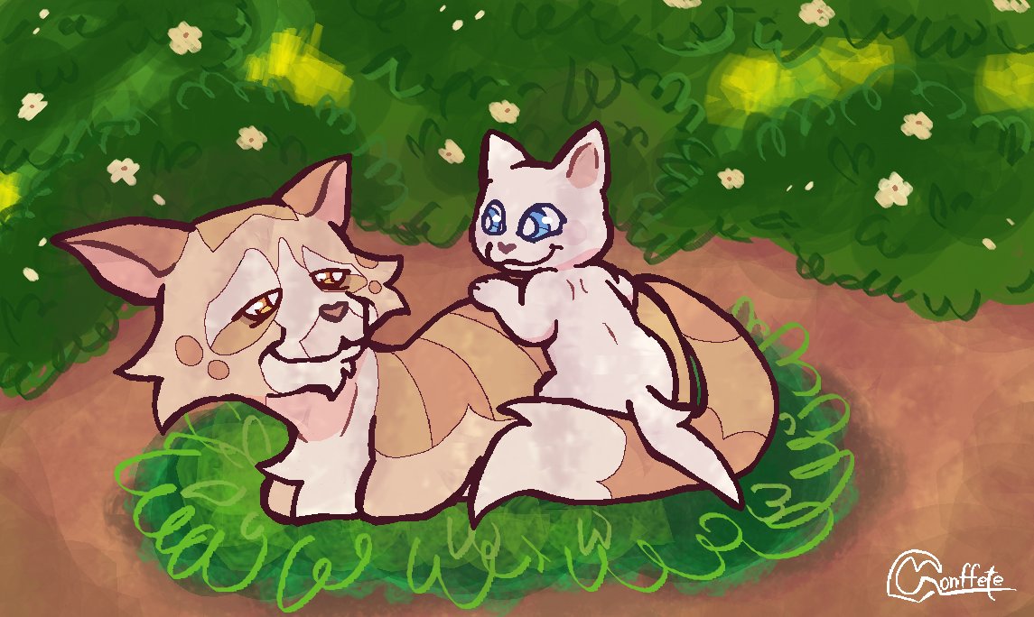 Conffete🎉 tweet media