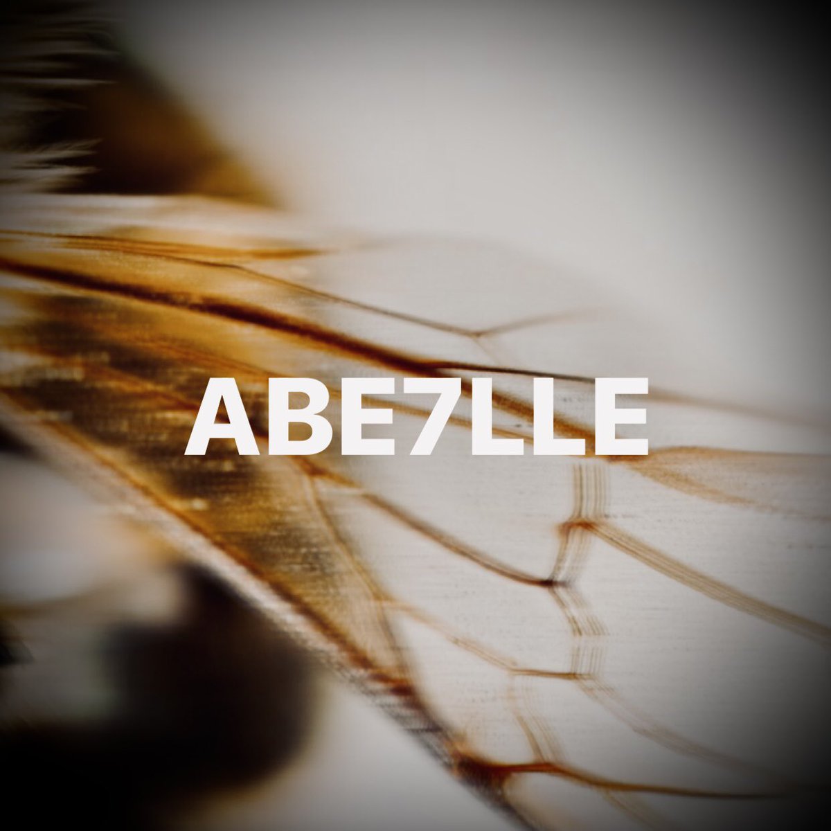 ABE7LLE 🐝 Official tweet media