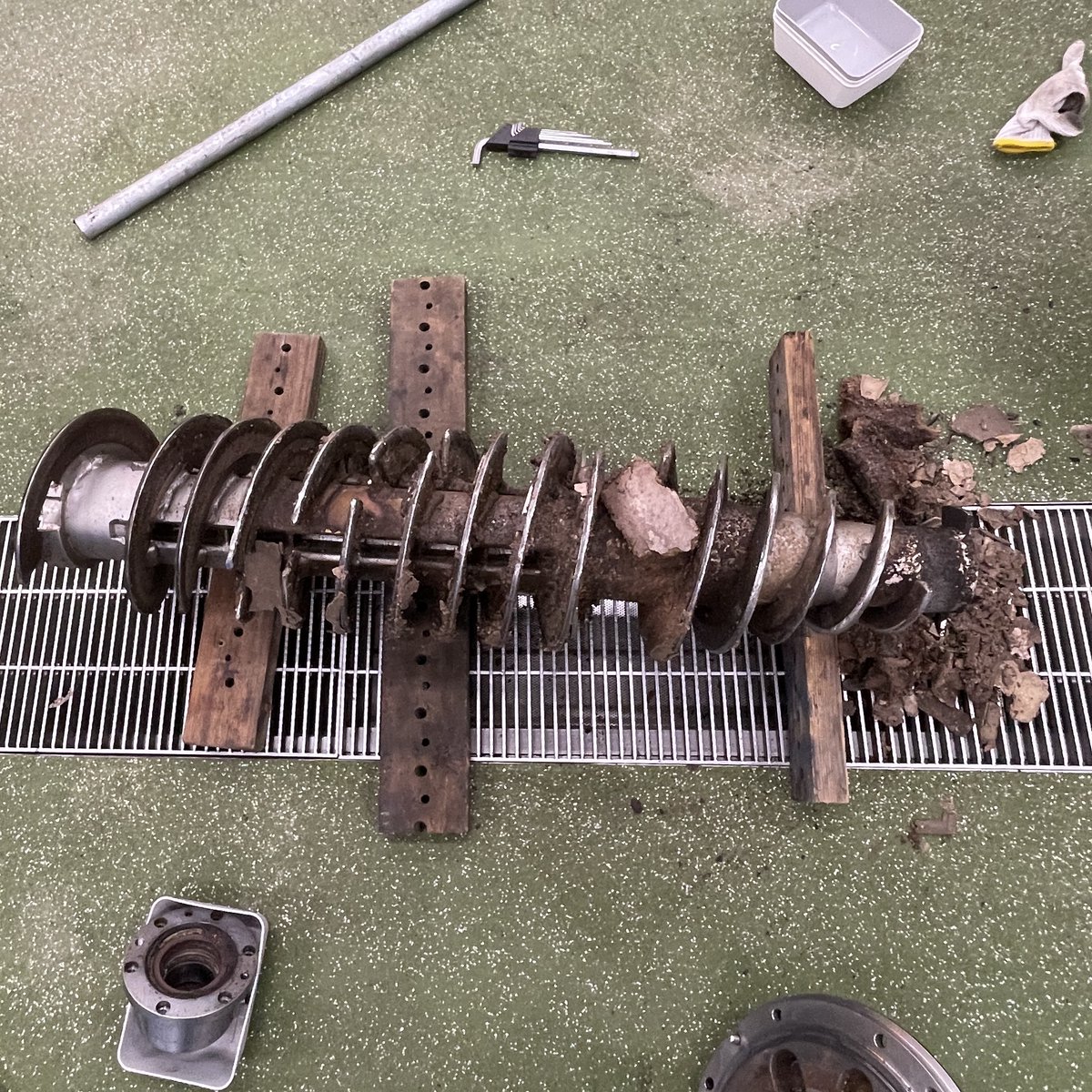 東洋オリーブ tweet media