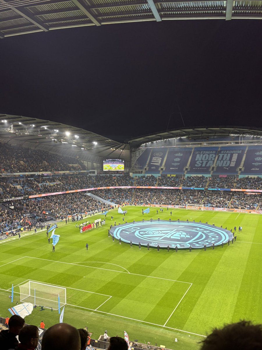 Tricky Tree Travel tweet media