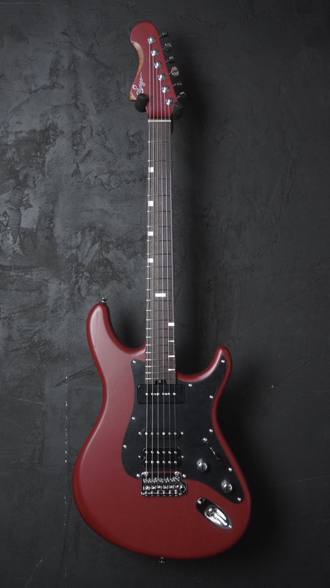 red_cat_FMQ's tweet photo. この世で唯一無二の超カッコいいウチの子🎸
これからもお世話になります
#Sagoの日 https://t.co/6mBhG0RLeQ