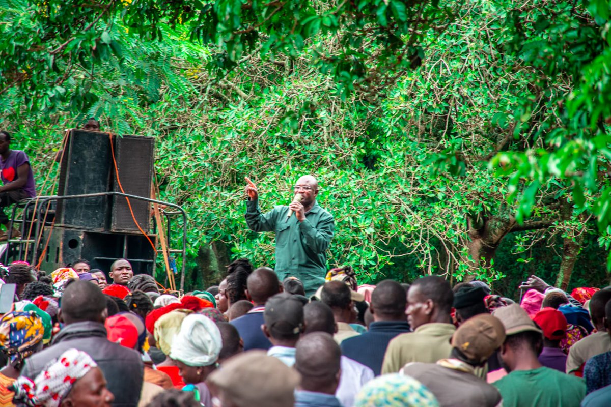 MDG Party tweet media