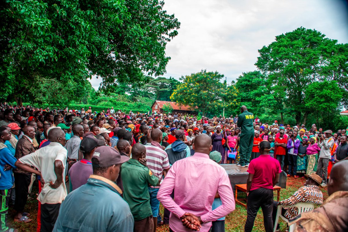 MDG Party tweet media