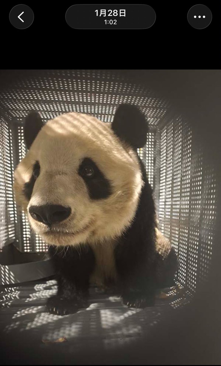 今回も公式さん写真を保存すると時間が記録されていた🥹
私のスマホ内に残っている近い時間のフライトレーダー✈︎
シャオは着陸前に近いかな。

…レイちゃんすごいな😅