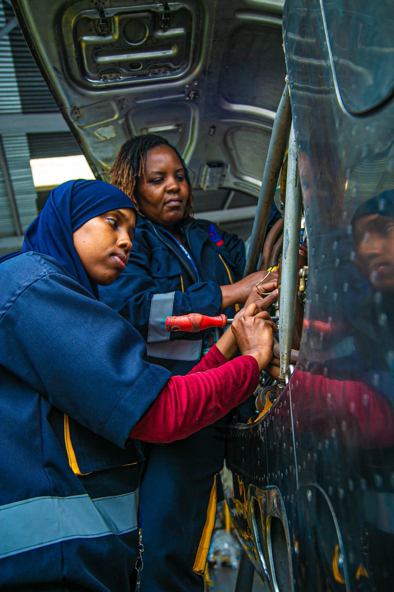 Freedom Airline tweet media