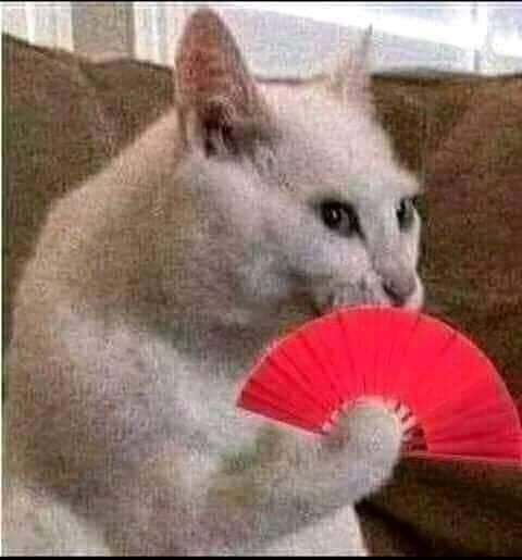 EddLayerEx tweet media