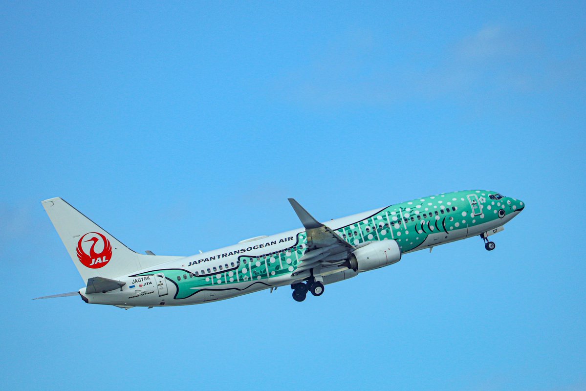 ＼ #JTA 那覇=羽田線 増便✈️／

春休み期間🌸
多くのお客さまにご利用いただけるよう
那覇＝羽田線を増便しました✈️

📅運航日：3月28日(土) 
JL994便 那覇🛫15：55 発
JL997便 羽田🛫20：20 発

旅行に、新生活の準備に…
ぜひご利用ください😊🌸

ご予約はこちら👉
jal.co.jp/jp/ja/