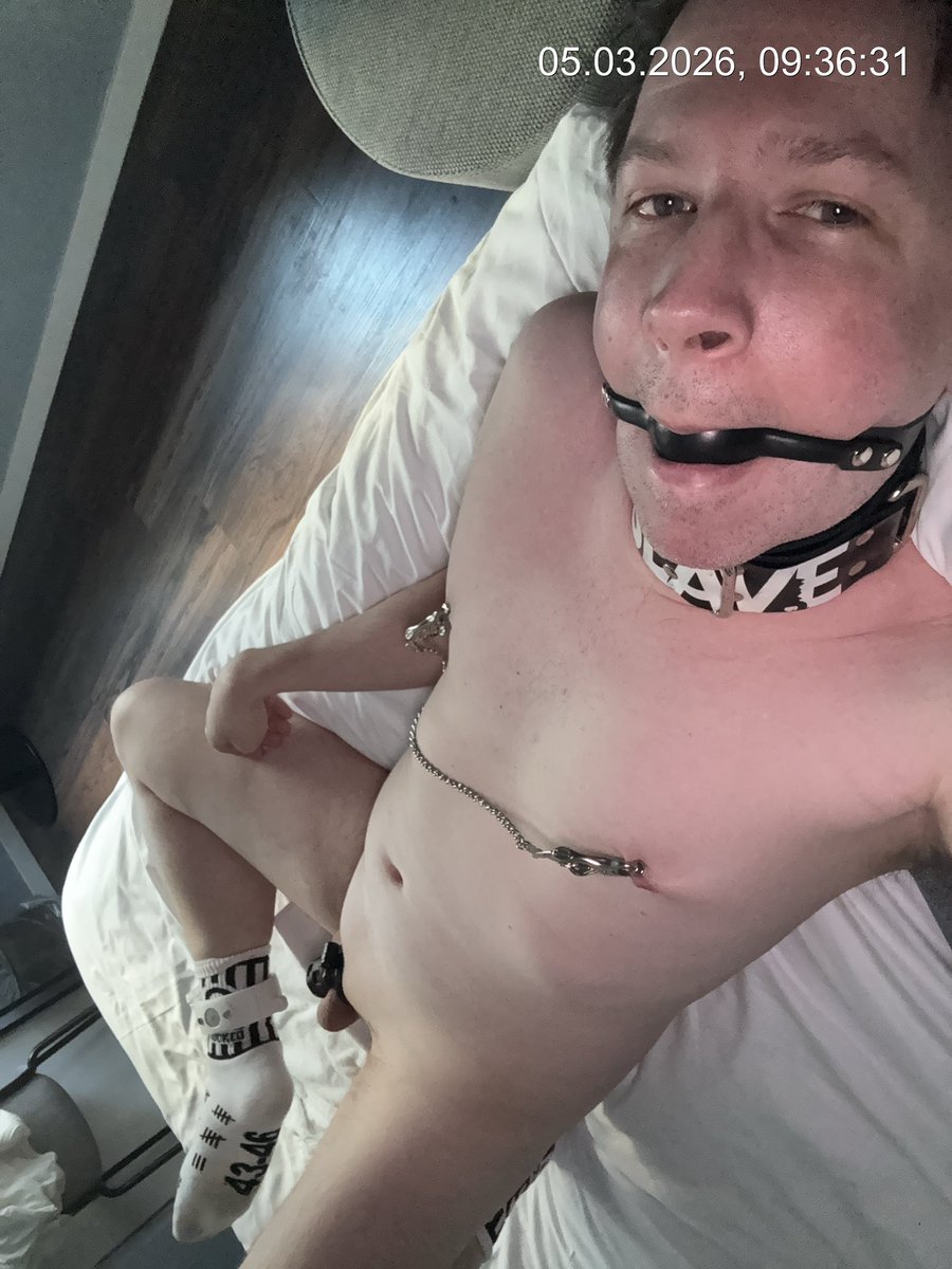 AmpasRubber's tweet photo. Gagged, collared, clamped &amp; caged at Darklands – slave dripping in denial, ready to serve Master’s every whim. Pain and pleasure building! 🔒⛓️😈 #Darklands #BDSM https://t.co/GEUXrjNAza