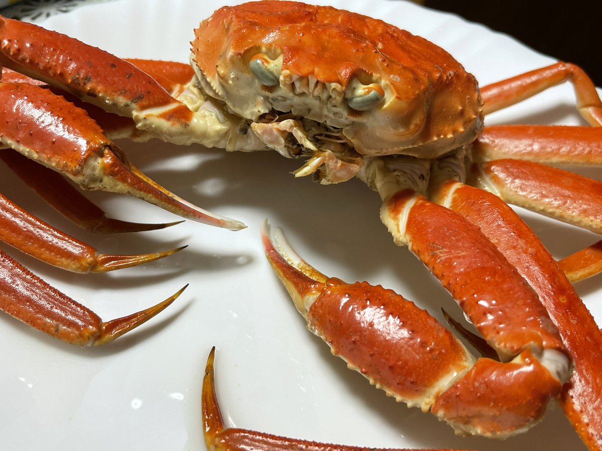 明日は横歩き🦀