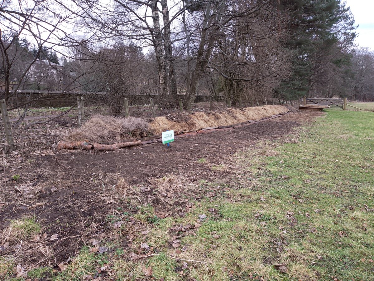 Pollinators tweet media