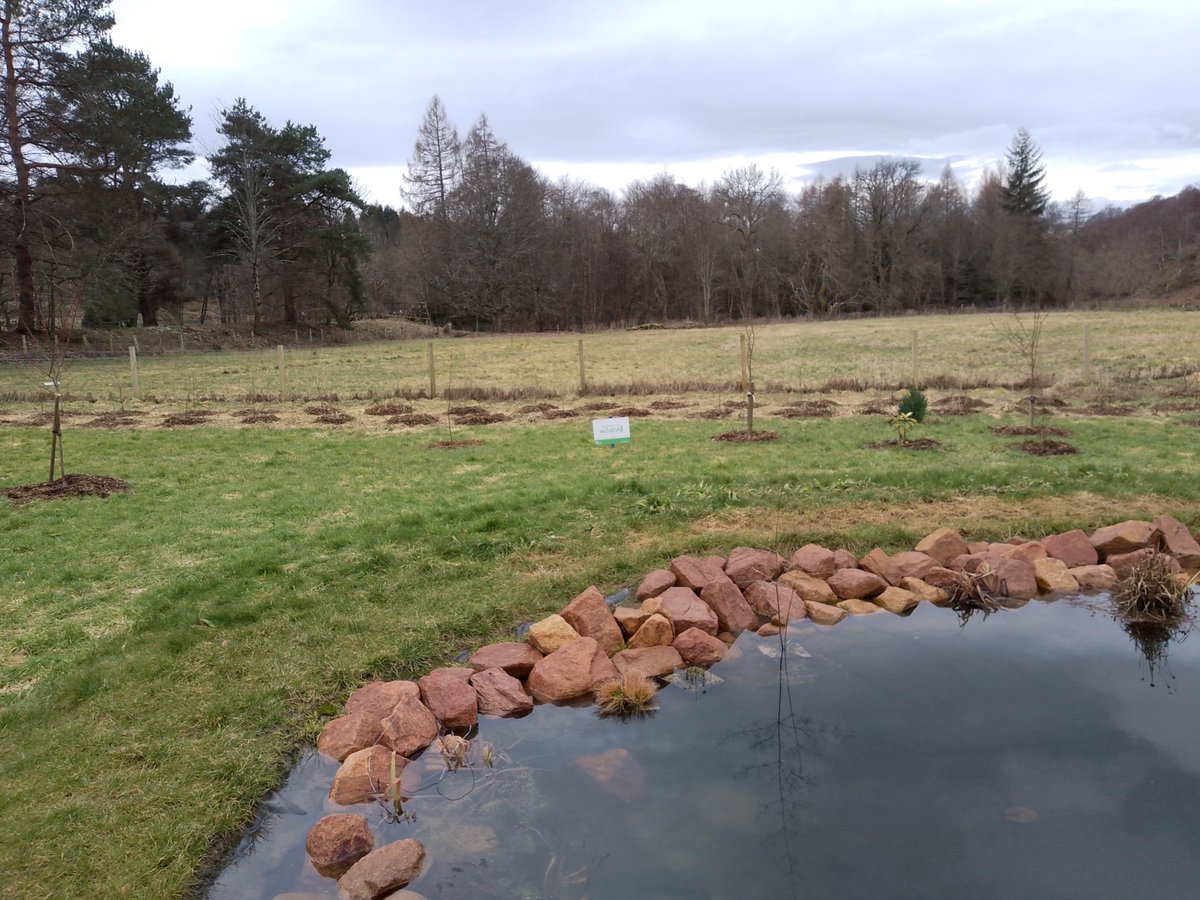 Pollinators tweet media