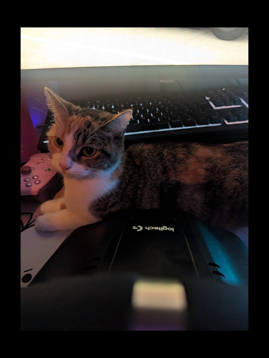 H4H MERCY tweet media