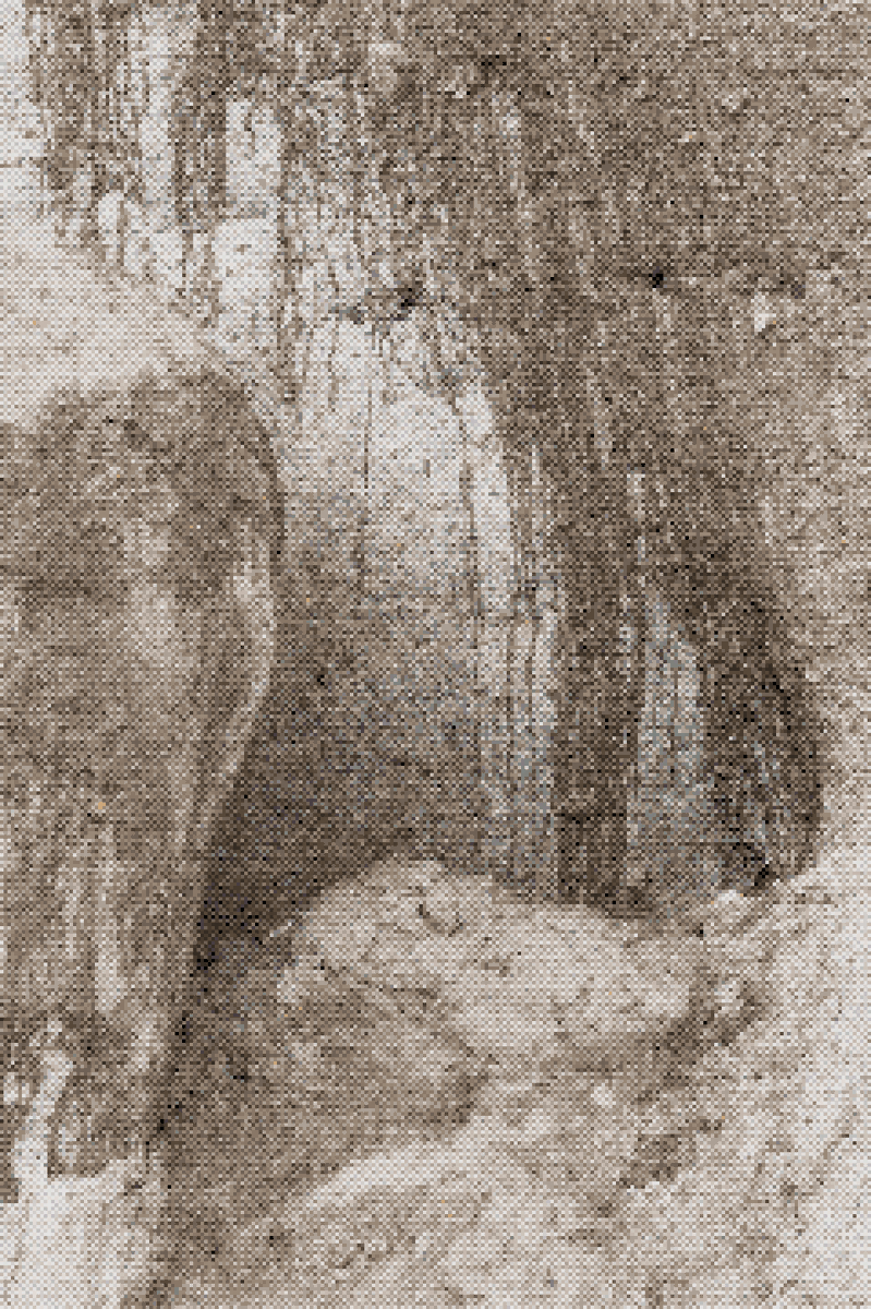 thatbloom tweet media