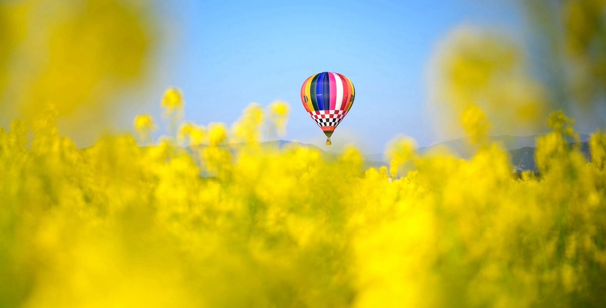 kameoka_balloon's tweet photo. ＼大会まであと1ヶ月🎈／

京都・亀岡バルーンフェスティバル2026
開催まであと1ヶ月を切りました🎶

4月4日(土)-6日(月)は是非早朝から亀岡へ☀️

熱気球体験やマルシェなど盛りだくさんの会場で
皆さまに会えるのを楽しみにしています❣️

#亀岡バルーンフェスティバル #京都 #お出かけ #週末イベント https://t.co/XY1YgWvQ7c
