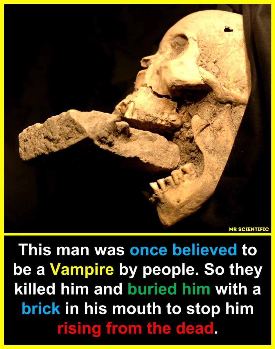 ScientificMr's tweet photo. 🧱 Archaeologists have actually found several graves like this in parts of Europe. 
In the Middle Ages, people feared that certain dead bodies could return as “revenants” or vampires. 
To prevent that, they sometimes placed bricks, stones, or even sickles in the mouth or across the neck of the corpse before burial. 
It wasn’t about real vampires, of course, it was a reflection of the fears and superstitions people had about disease and death at the time.