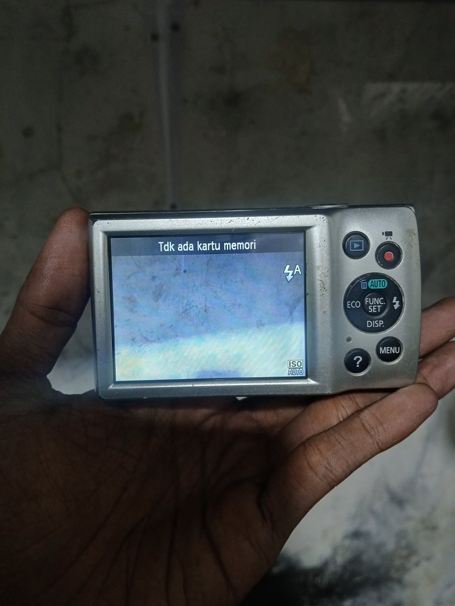 plutoO🦋 tweet media