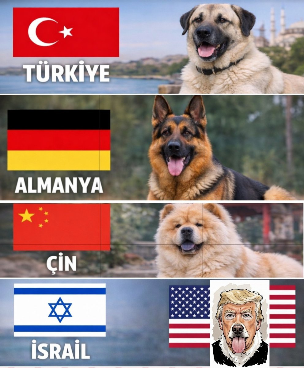Countries and their precious puppies!

#füze Israel Iran
İncirlik Üssü S-400 Trump Texas Paxton
