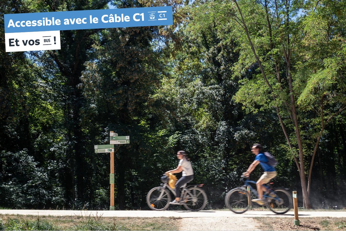 MarneSeine_IDFM's tweet image. Profitez du grand soleil !☀️
Partez en #balade entre Créteil et Santeny🥾🚲
Accompagné ou en solo, (re)découvrez #LaVégétale🌳
Accès depuis le #CâbleC1 et arrêts de #Bus Pointe du Lac, Limeil-Brévannes Plage Bleue et La Végétale🚡🚍
Pour en savoir plus➡️lavegetale.fr