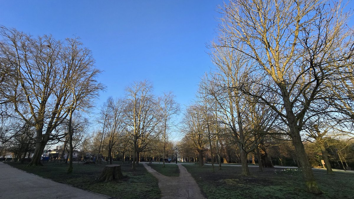 Roger of RTW tweet media