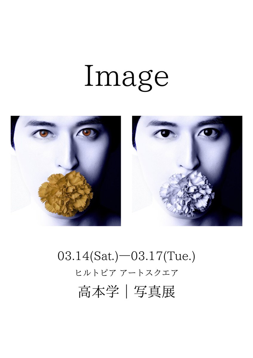 高本学STAFF(公式) tweet media