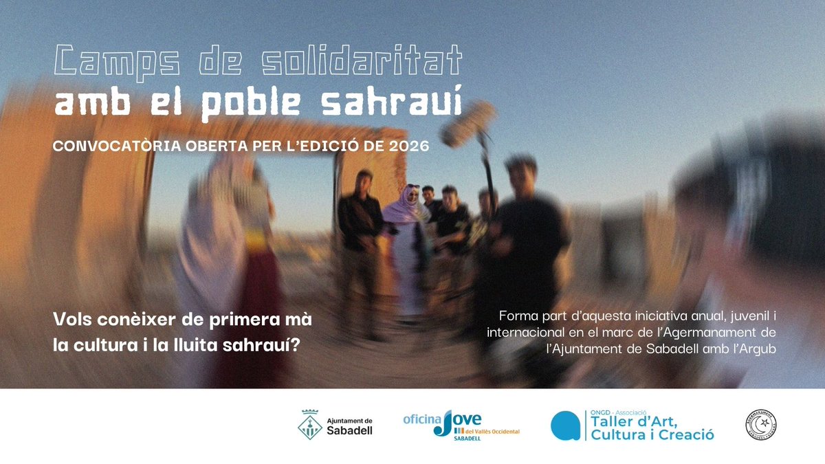 Sbd de Drets Civils, Feminismes i LGBTI+ tweet media