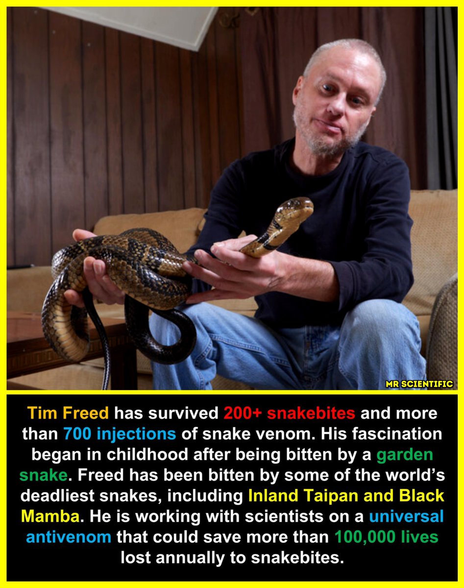 ScientificMr's tweet photo. 🐍 Tim Friede is known for deliberately exposing himself to small amounts of snake venom over many years to build immunity. Through repeated, carefully controlled injections and accidental bites, his body produced a wide range of antibodies against different venoms.

Researchers became interested in his blood because those antibodies might help develop broader antivenom treatments. 
Instead of needing a different antidote for each snake species, scientists hope insights from cases like his could help create antivenoms that work against many types of snake venom.