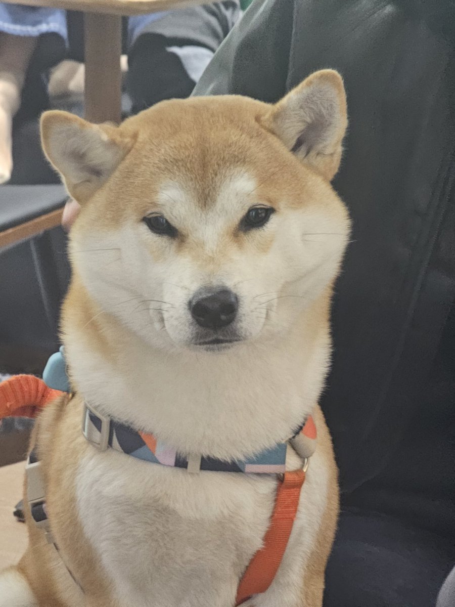 God Works tweet media