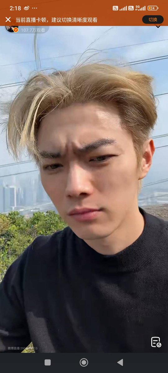 pilollinn bucchi tweet media