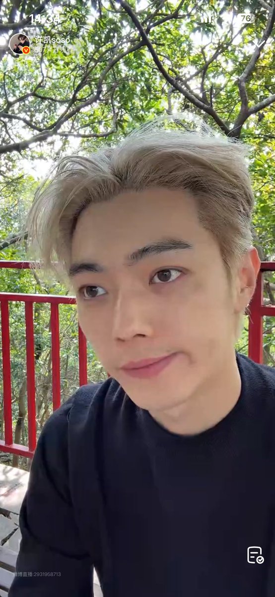 pilollinn bucchi tweet media