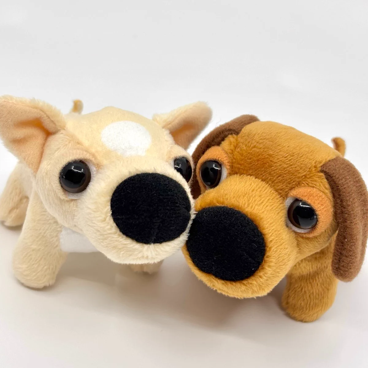 THE DOG and Friends【公式】 on X: 